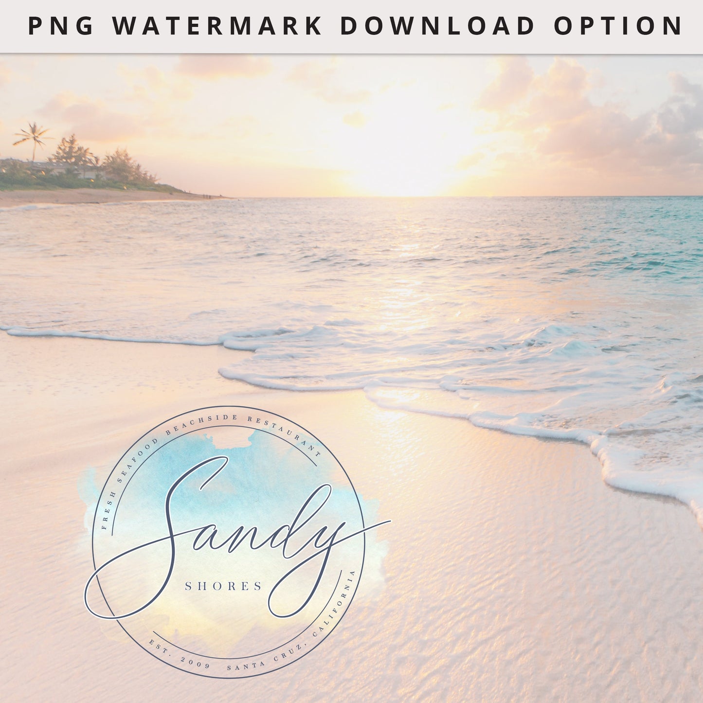 Premade 3 x Logo Suite Beachy Watercolor Splash Modern Logos Branding | Instant Edit Yourself Online | DIY logo | Editable Template SS-002