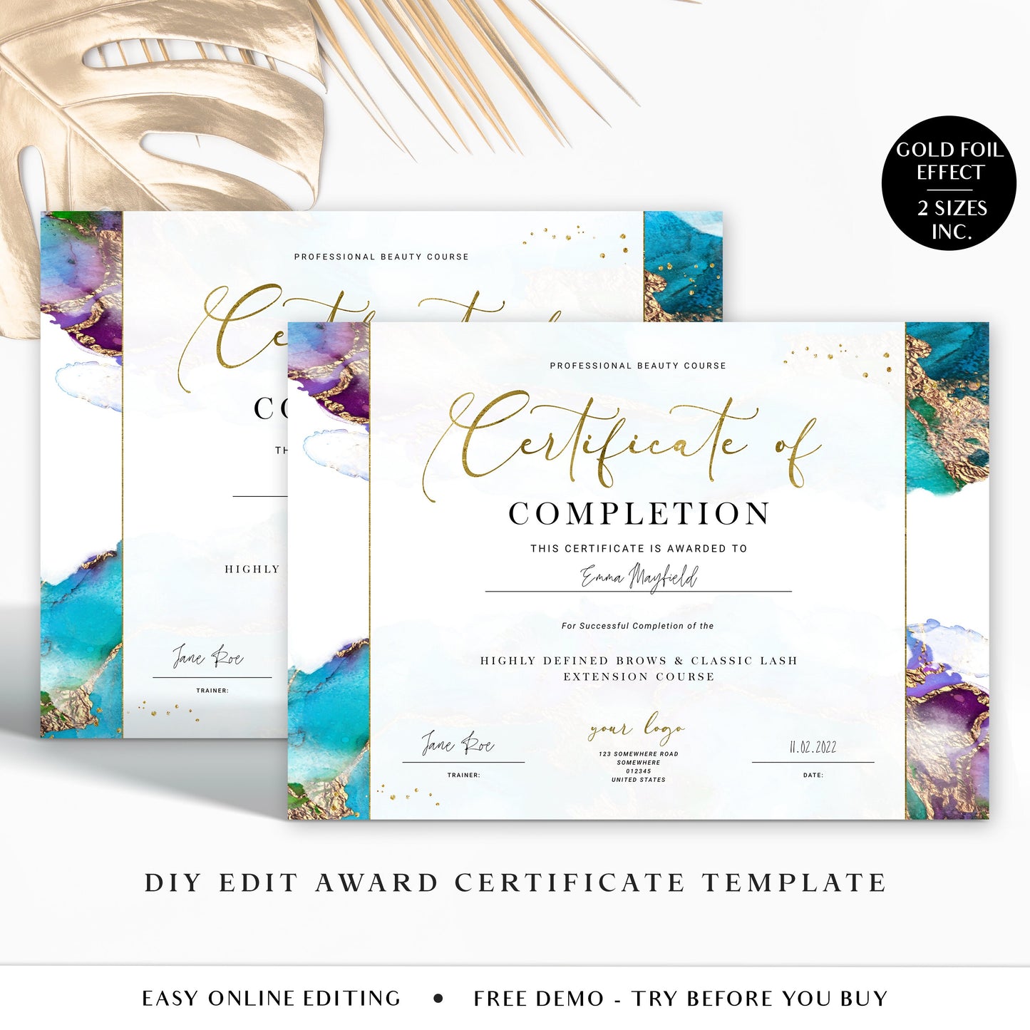 Certificate of Completion Editable Template, DIY Award Certificate, Beauty Business Course Certificate, Printable Certificate Gold DJ-001