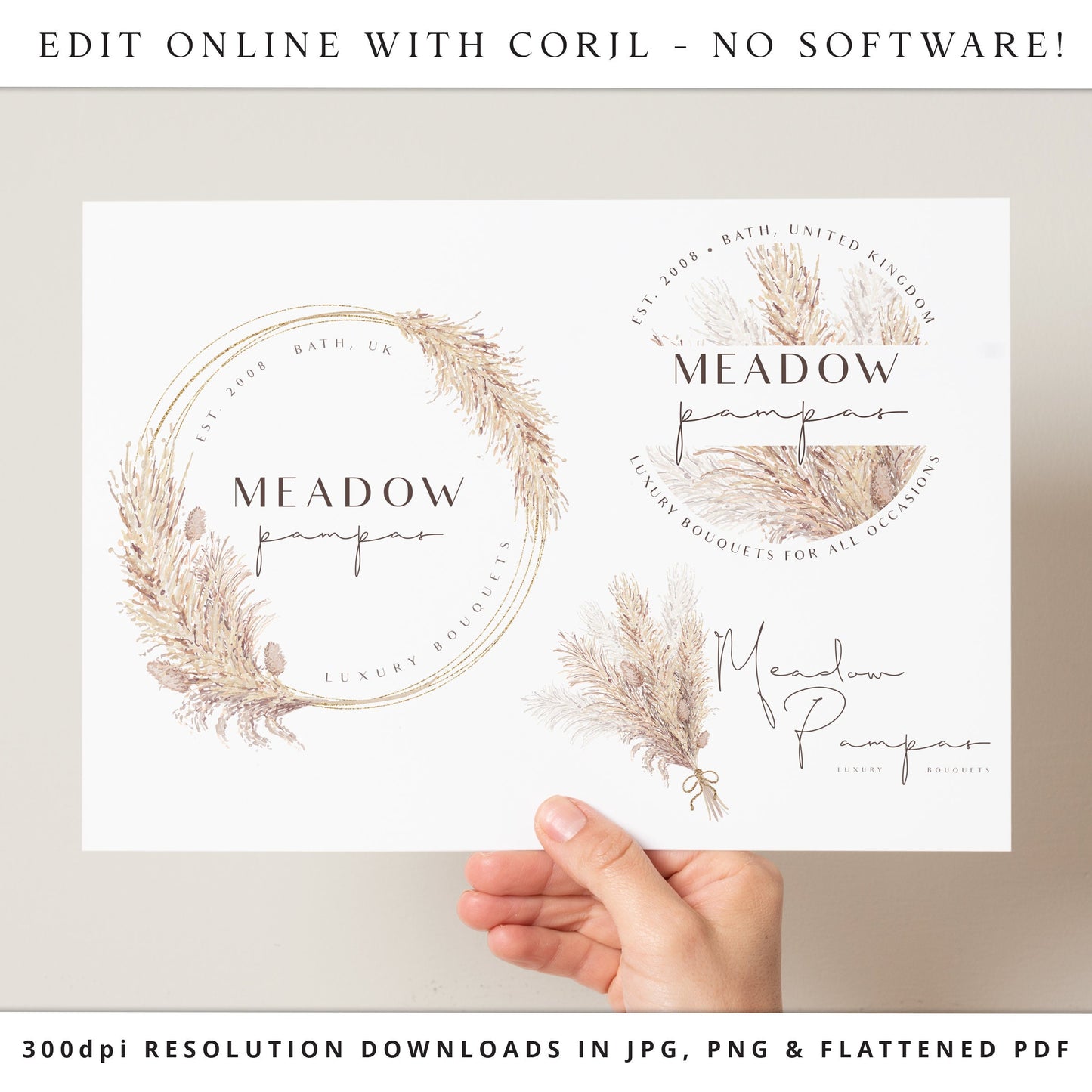 Editable Pampas Logo Bundle, 3 x DIY Edit Modern Branding Set, Instant Edit Premade Logo Set, Rustic Pampas Grass Business Logo Kit MP-001