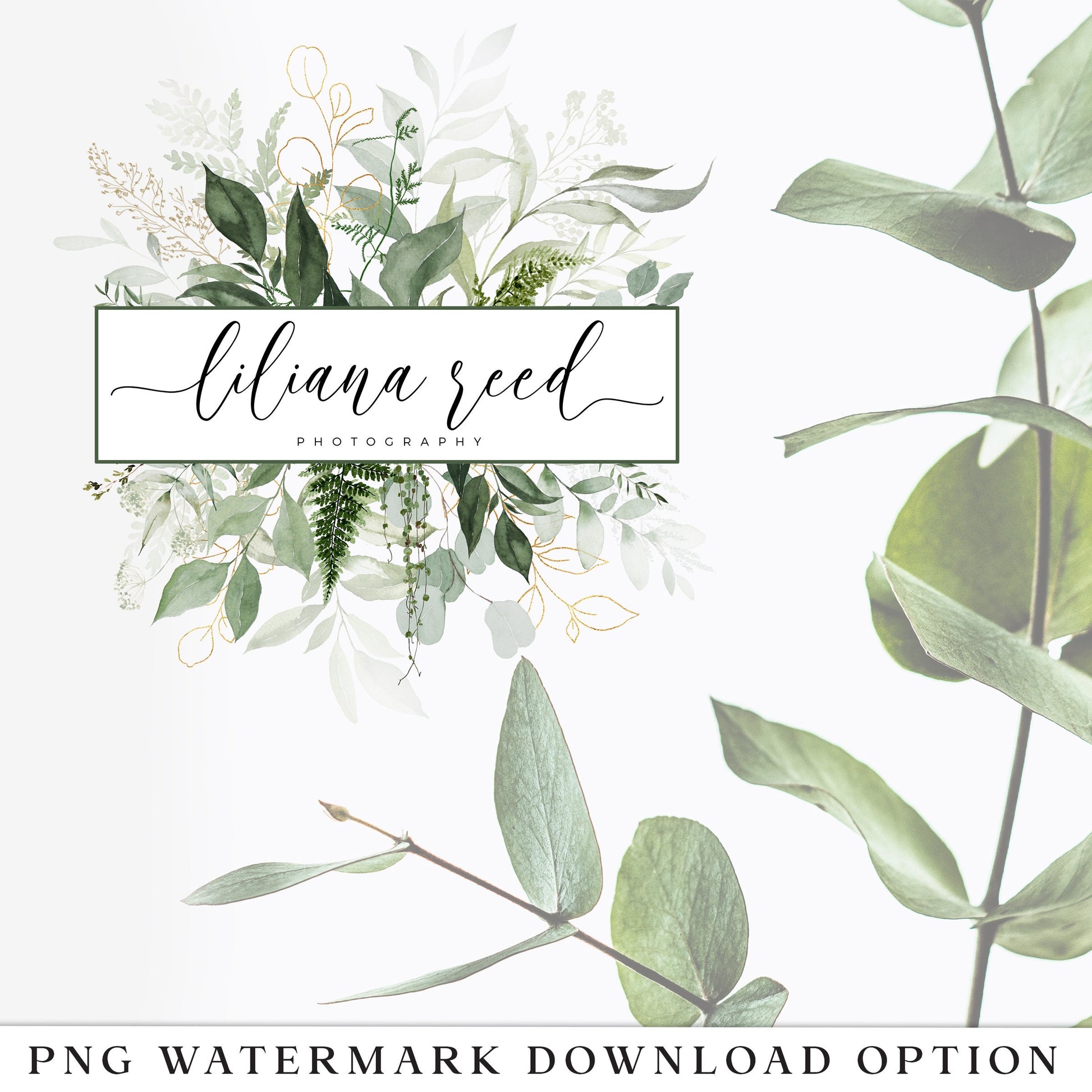 Editable Greenery Logo Template, DIY Edit Instant Watercolor Leaves Logo, Watermark Boho Logo, Premade Foliage Logo Design PR0738