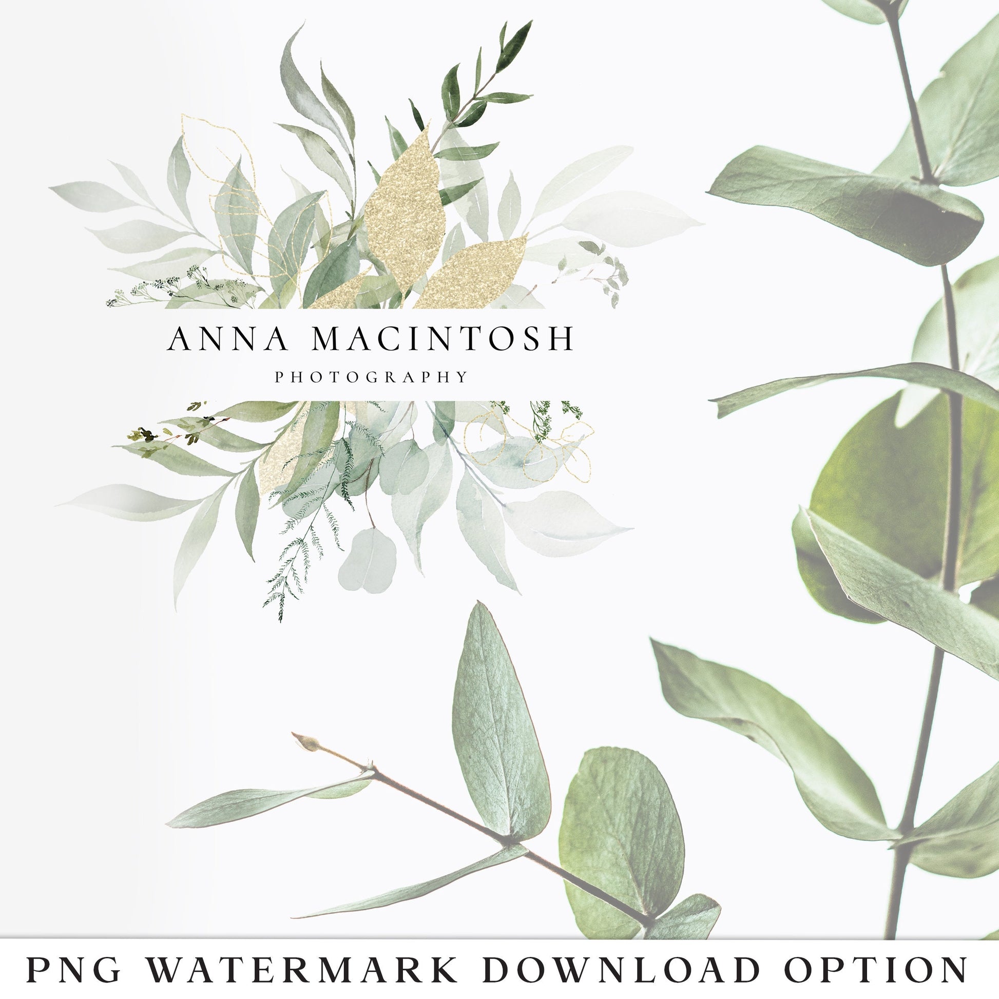 Editable Greenery Logo Template, DIY Edit Instant Watercolor Leaves Logo, Watermark Boho Logo, Premade Foliage Logo Design AM-003